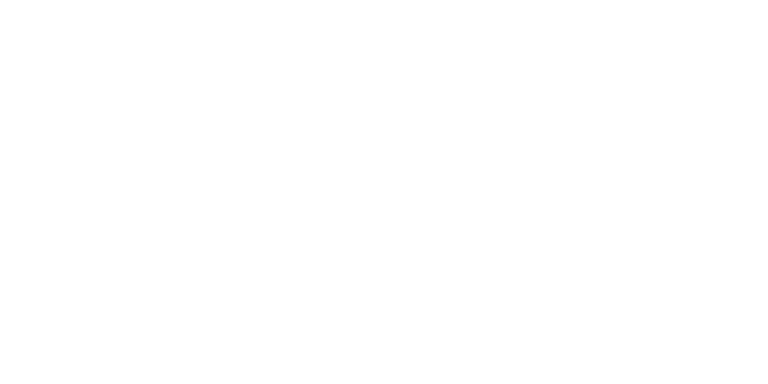 Logo Universitat Pompeu Fabra blanco